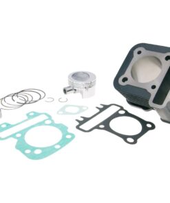 Zylinderkit Polini Grauguss Sport 79ccm 49mm für Piaggio 50 4T 2V