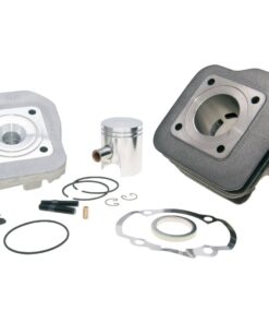 Zylinderkit Polini Grauguss Sport 50ccm 40mm für Peugeot stehend AC