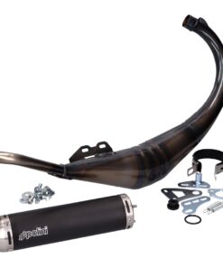 Auspuff Polini Evolution für Aprilia RS 50, Rieju RS 2, Yamaha TZR 50 (AM6)