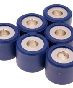 Variomatikgewichte Polini 21x17mm - 9,5g