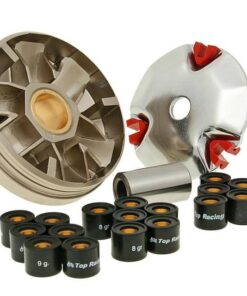 Variomatik Top Racing SV1 Speed für Honda Wallaroo, Vision