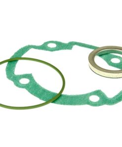 Zylinder Dichtungssatz Malossi für Peugeot stehend AC