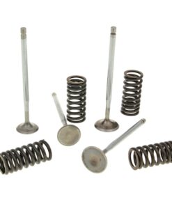 Ventilsatz Malossi Racing mit Federn für Piaggio 4-Ventil LC Motoren Originalzylinderkopf