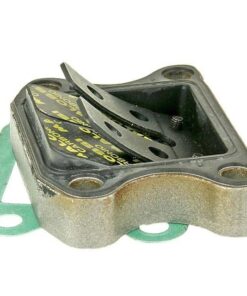 Membranblock Malossi VL9 für Honda, Kymco, Peugeot, SYM stehend