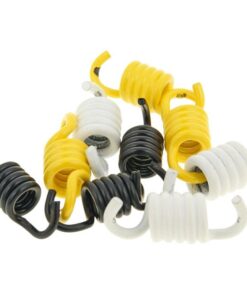 Kupplungsfedern Set Malossi Racing für Piaggio Mofas mit Variomatik