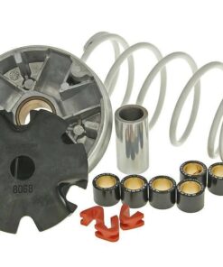 Variomatik Malossi Multivar für 139QMB/QMA 4-Takt