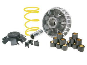 Variomatik Malossi Multivar 2000 für Kymco Xciting, KXR, MXU, Maxxer, Arctic Cat, Barossa 250-300ccm
