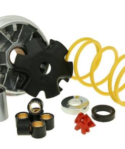 Variomatik Malossi Multivar für Honda SH, Lead, PGO