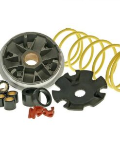 Variomatik Malossi Multivar für Piaggio Sfera, Zip 50ccm 2-Takt