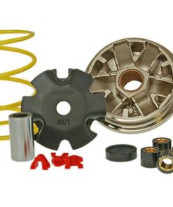 Variomatik Malossi Multivar für Honda