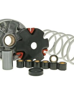 Variomatik Malossi Multivar für Kymco, SYM, Honda Dio