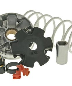 Variomatik Malossi Multivar für Kymco, SYM liegend