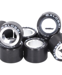 Variomatikgewichte Malossi HT 29,8x19,8mm - 24,0g