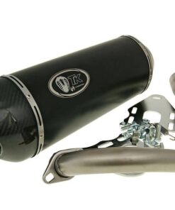 Auspuff Turbo Kit GMax Carbon H2 4T für Vespa GTS 300