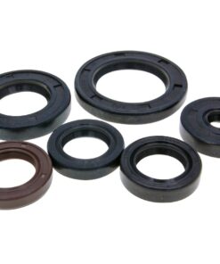 Wellendichtringsatz Motor Naraku für Piaggio 50 2T