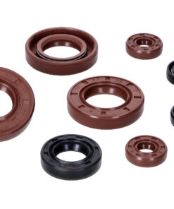 Wellendichtringsatz Motor Naraku VTS Premium für Piaggio / Derbi D50B0