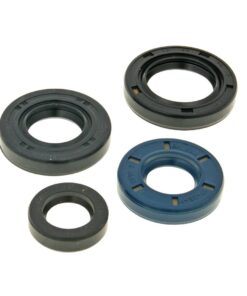 Wellendichtringsatz Motor für PGO neu