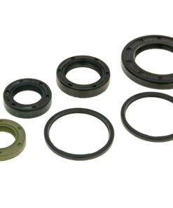 Wellendichtringsatz Motor für Piaggio 50-100 4-Takt