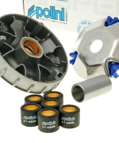 Variomatik Polini Hi-Speed für Aprilia Scarabeo Di-Tech, SR 50 Di-Tech, Suzuki Katana 50 (2000-)