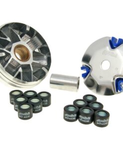 Variomatik Polini Hi-Speed für Honda Dio SP, Vision, Peugeot ST Rapido