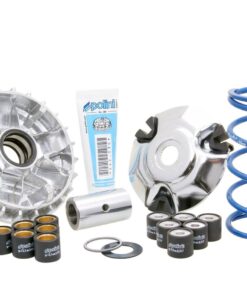 Variomatik Polini Maxi Hi-Speed für Piaggio Fly, Liberty, Vespa Primavera, Sprint 125ie, 150ie 3V