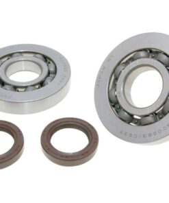 Kurbelwellenlager Satz FKM für Gilera Runner, Piaggio Hexagon, Italjet Dragster 125, 180ccm