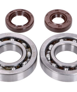 Kurbelwellenlager Satz Naraku SKF, FKM Premium C3 für Honda X8R