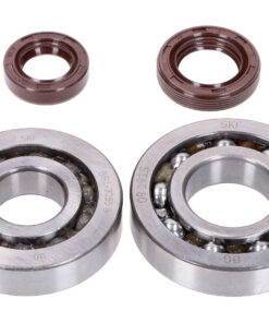 Kurbelwellenlager Satz Naraku SKF, FKM Premium C3 für Kymco, SYM liegend