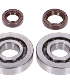 Kurbelwellenlager Satz Naraku SKF, FKM Premium C3 für Peugeot stehend Euro1