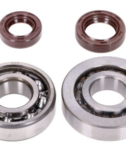 Kurbelwellenlager Satz Naraku SKF, FKM Premium C3, C4 Metallkäfig für Peugeot stehend Euro2