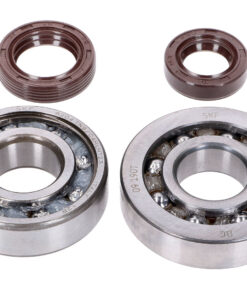 Kurbelwellenlager Satz Naraku SKF, FKM Premium C3, C4 Polyamid für Peugeot stehend E2